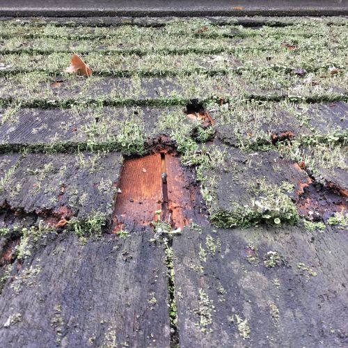 Remove moss from your roof
